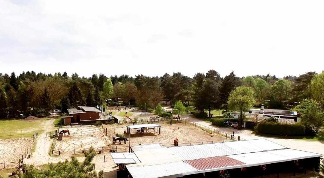 Prachtig Chalet In De Bossen Nunspeet Eksteriør bilde
